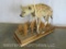 Lifesize Hyena on Base TAXIDERMY