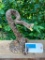 Awesome - NEW - Striking Rattlesnake , with rattles and fangs.. Great Taxidermy, 11