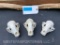 3 large raccoon or COON Skulls, with ALL teeth, & nasal turbines 4 1/2