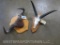 Wildebeest Horns & Reedbuck Skull on Plaque (2x$) TAXIDERMY