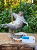 New Taxidermy, Pole Dancing Squirrel ! 12 1/2