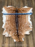 AWESOME, New, soft tanned AXIS DEER hide, skin, 4