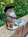 Cowboy Muskrat, complete with Hat, and pistol.. New Taxidermy, 11