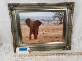 Gorgeous Elephant on Canvas 21