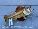 REAL SKIN, Large Mouth BASS, fish mount on wood panel, 19