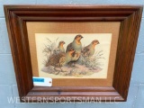 Beautiful OLD framed print of a group of Hungarian Partridges 25 3/4 inches long x 22 inches wide...