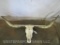 Natural Longhorn Skull TAXIDERMY