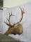 ELK SH MT TAXIDERMY