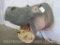 REPRODUCTION HIPPO SH MT TAXIDERMY