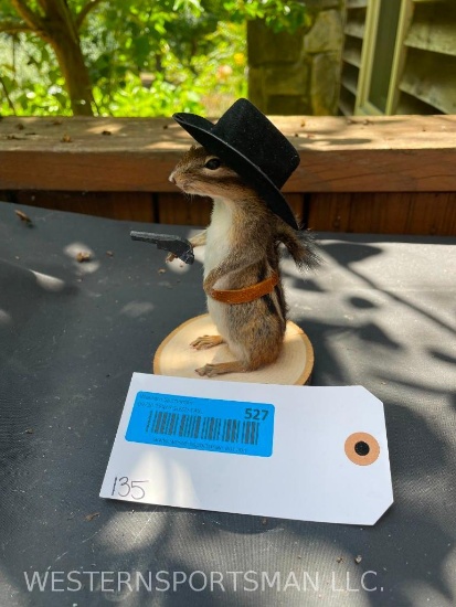 New Cow Boy Chipmunk on wood base.. 6 inches tall, base is 3 1/2 x 3 1/2 inches . Great Taxidermy