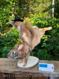 RIDE HIM COWBOY Squirrel riding a bucking Rabbit . 18 inches tallx 22 inches long EXCELLENT NEW Taxi