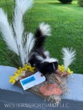 Super CUTE , Little baby Skunk, on habitat base.. 16 inches tall overall, base is 10 inches x 8 inch