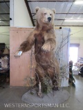 Lifesize Standing Grizzly Bear on Base