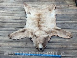 Rare BLOND BLACK BEAR RUG, -ALL Claws, Double felted, LONG Thick fur . 6 foot long x 62 inches acros