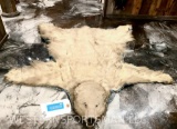 Rare ! Polar Bear rug. This is a large hide and rug. rug. Needs touch up but a priceless treasure in