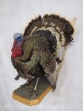 Lifesize Strutting Turkey on Base