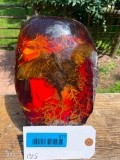 HUGE Amber encased BUTTERFLY, 9 inches tall x 6 inches wide - Beautiful Non Taxidermy Accents