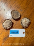 Very Nice set of 3 Large Elk, sheds-BURRS, Great for Carving or Belt-Buckles ! 3 1/2 X 3 inches one