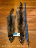 2Lg. Soft tanned Raccoon furs, skins, hides, 38, and 30 inches long New, Taxidermy = 2 x $