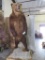 Lifesize Standing Brown Bear on Base 6'10