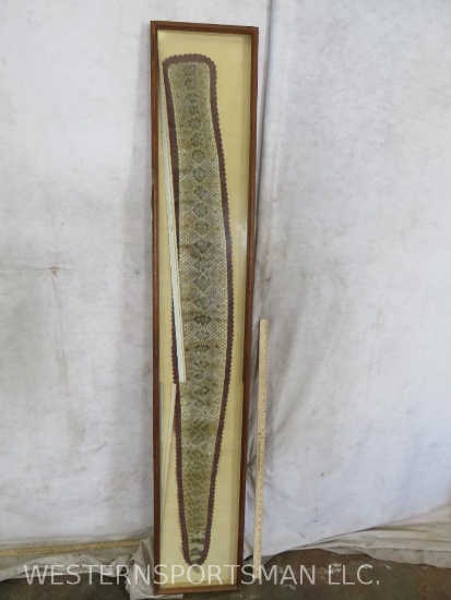 Mounted and Framed Snake Skin TAXIDERMY