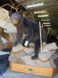 Lifesize Black Bear on Base