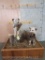 2 LIFESIZE ARCTIC FOX W/BIRDS IN MOUTH ON BASE TAXIDERMY