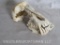 DAMAGED Baboon Skull