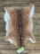 BEAUTIFUL Taxidermy NEW AXIS Deer hide/skin = 30 inches long x 21 inches wide SOFT