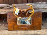 Beautiful Old Decorative 9 point Deer Antlers - Mirror - Hat rack = 29 1/2 inches long x 16 inches w