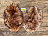2 NEW XLG. Beaver furs/skins/hides, 32 inches long x 21 wide & 31 inches X 19 inches SOFT = 2 X $