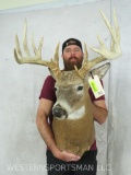 XL NON TYPICAL Whitetail Sh Mt TAXIDERMY