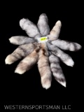 TEN, Beautiful Ranch FOX Tails, with key chain, HUGE tails from 16 to 20 inches long & Fluffy Taxide