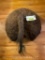 Buffalo - Bison Butt-Rear mount NEW Taxidermy, App. 20 inches wide x 36 inches long with Tail - Ranc