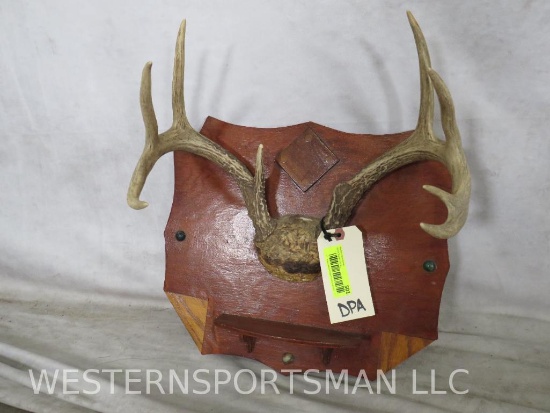 Whitetail Antlers on Plaque
