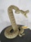 Striking Rattle Snake TAXIDERMY