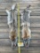 2 NEW, XX Large, soft tanned Coyote furs/hides/skins, app. 60 inches long great log cabin Taxidermy