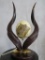 Beautiful Ostrich Egg on Nyala Horns Stand TAXIDERMY