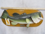 Large Mouth Bass Fish Mt on Plaque TAXIDERMY