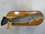 Fish Mt on Plaque TAXIDERMY