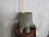 Hippo Foot on Wooden Base TAXIDERMY