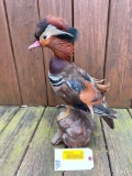 Beautiful Mandarin Duck, on Cypress knot base, Great colors,great waterfowl Taxidermy non-migratory