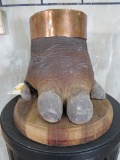 REALLY NICE HIPPO FOOT CANISTER W/BRONZE RIM TAXIDERMY ODDITY
