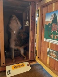 Awesome , Fox Squirrel, in Cedar Out House, Holding his NOSE ! Beautiful Taxidermy, Got a bell, cart