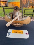 Chipmunk in Canoe, NEW, Taxidermy, 8 inches long X 6 inches tall, Great log cabin, ranch Decor