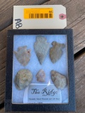 Six, Nice Arrowheads/flints from Ohio, in display case 6 1/4 X 5 1/4 inches, not Taxidermy