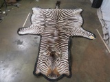 Rough Felted Zebra Rug *has holes* TAXIDERMY DECOR