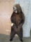 Lifesize Standing Brown Bear TAXIDERMY