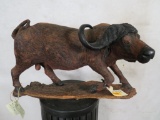 Beautifully Carved Leadwood Cape Buffalo 27