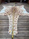 Beautiful- RARE Giraffe Hide! HUGE,15 FEET long tip to tip,11 foot 4 inches across the front legs &